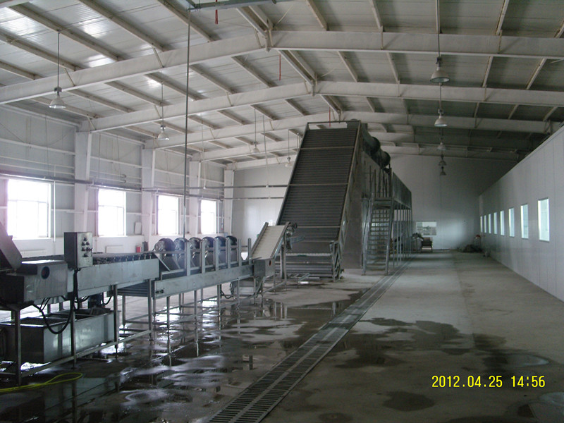 紅棗生產(chǎn)線，紅棗烘干機(jī)，紅棗干燥機(jī)